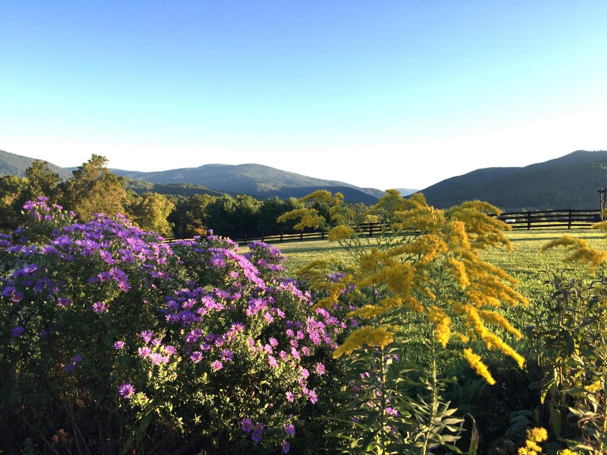 Montfair Resort Farm Crozet Δωμάτιο φωτογραφία