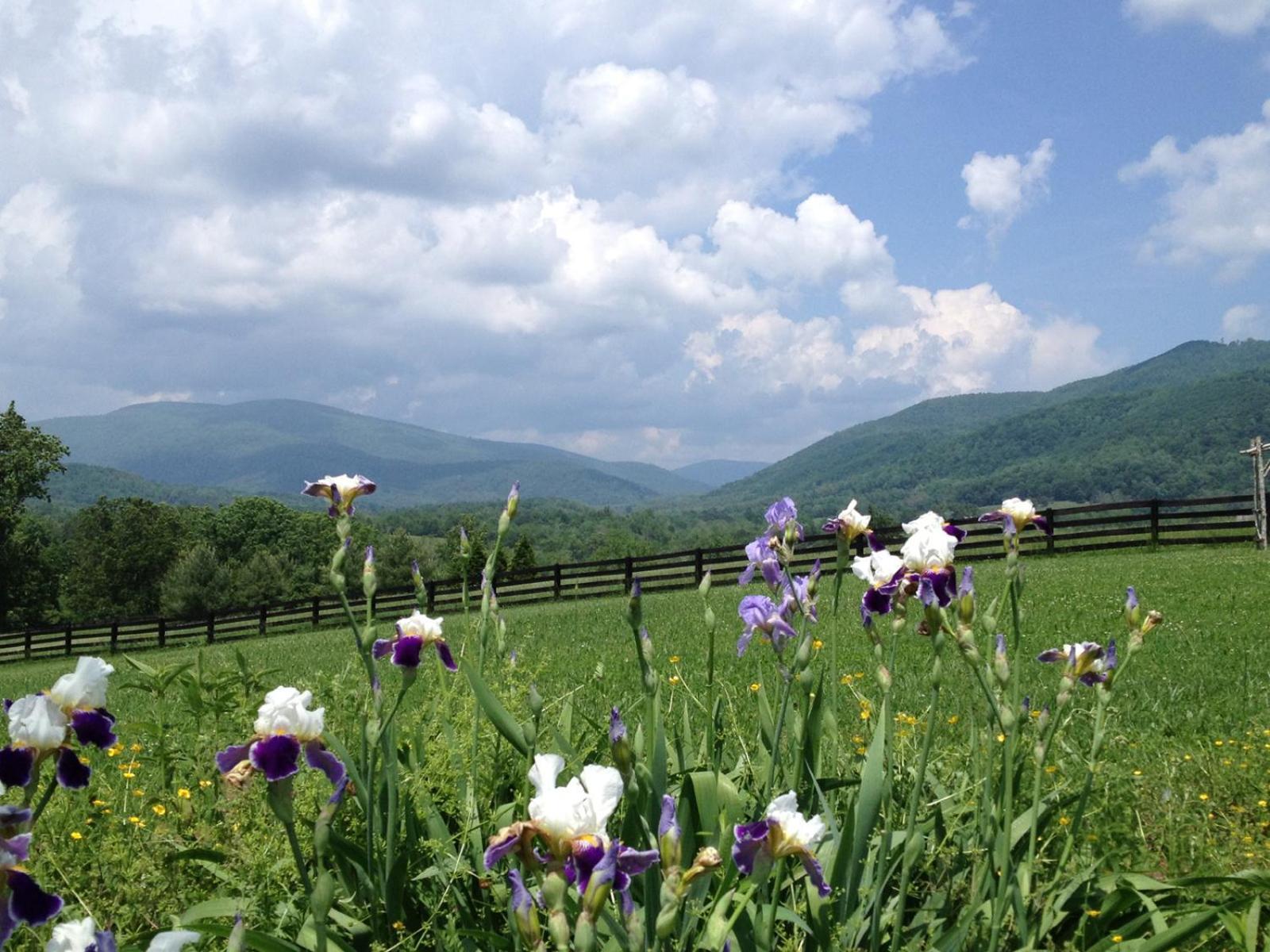 Montfair Resort Farm Crozet Δωμάτιο φωτογραφία